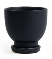Plant Junkie Pot